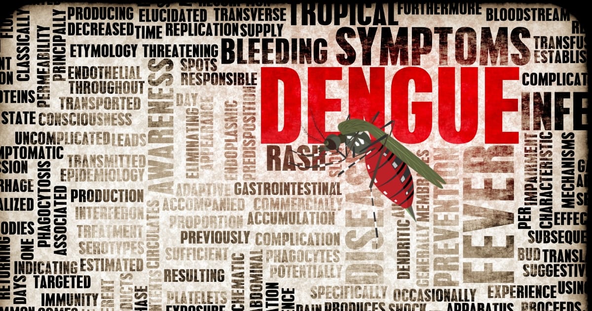 Dengue Fever: Symptoms, Causes, Prevention & Treatment